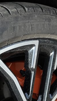 IMG_5724.jpeg