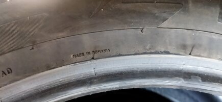 IMG_20240821_102002.jpg