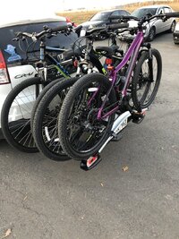 IMG_1893.jpeg