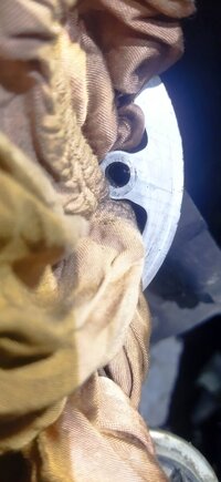 IMG_20240907_100532.jpg