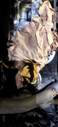 IMG_20240907_100542.jpg